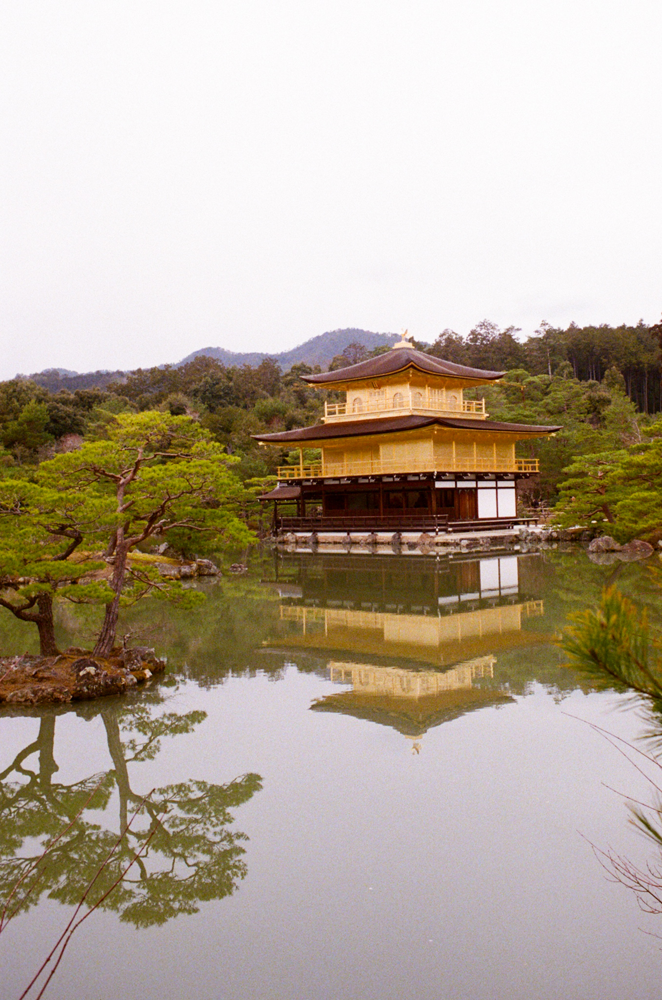 Exploring Osaka and Its Surroundings